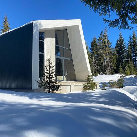Villa Olympic Oasis Jahorina Esterno foto