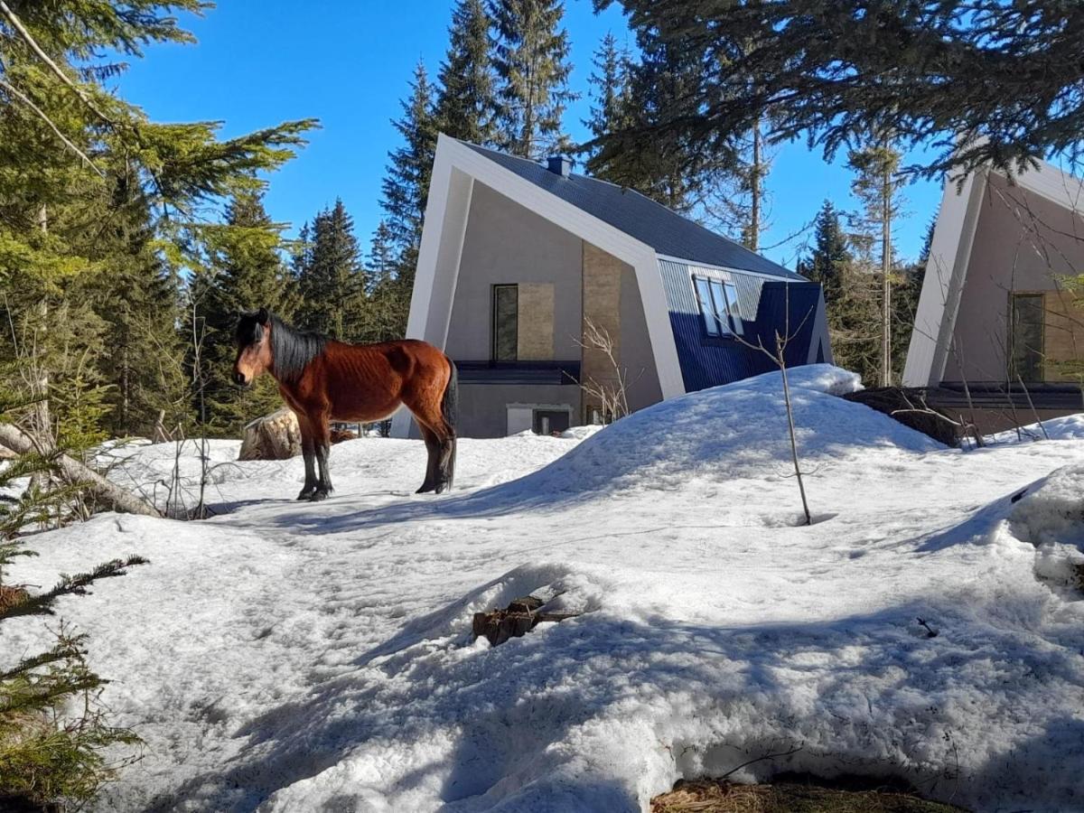 Villa Olympic Oasis Jahorina Esterno foto
